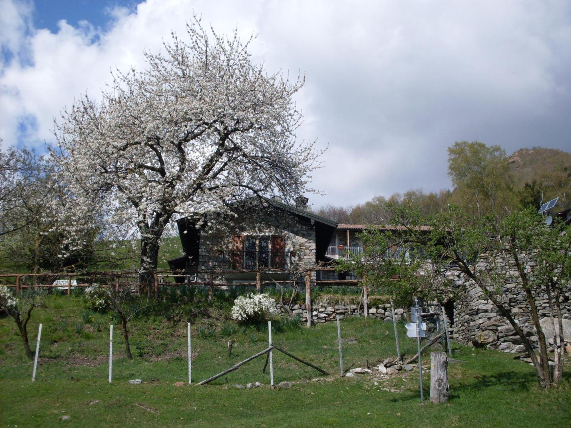 Agriturismo Da Attilio Cannobio Eksteriør billede