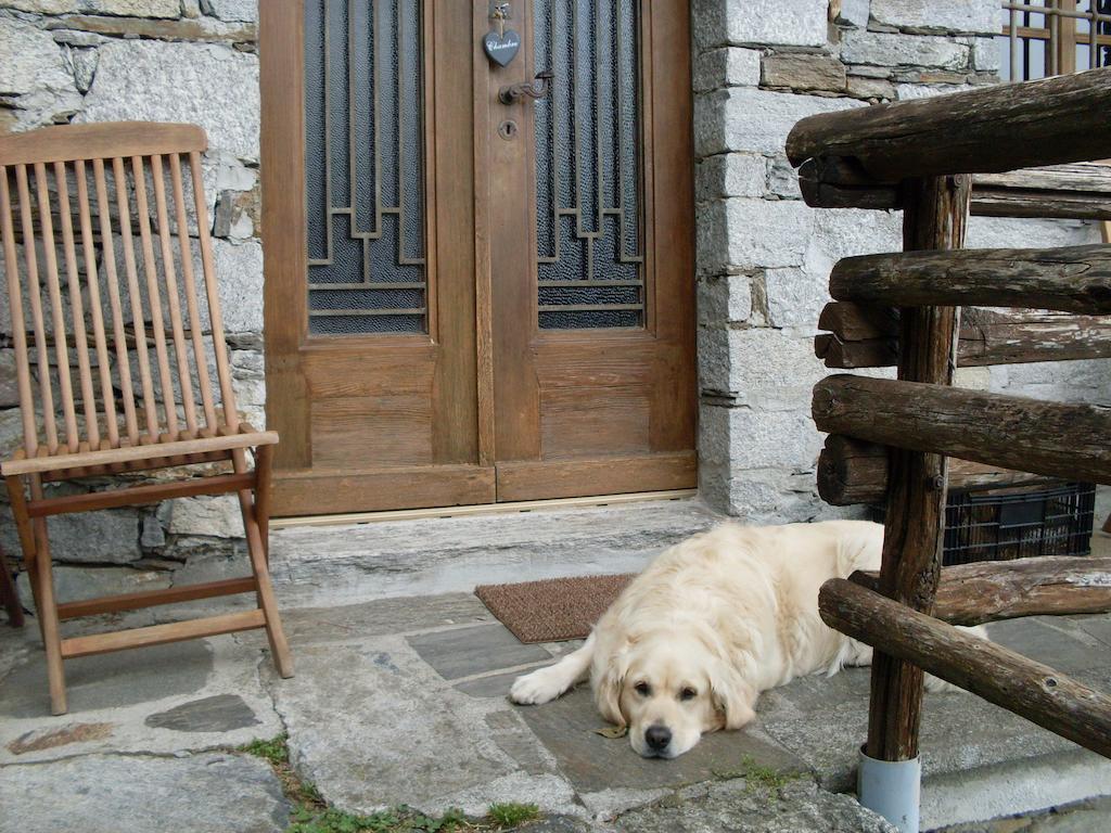 Agriturismo Da Attilio Cannobio Værelse billede